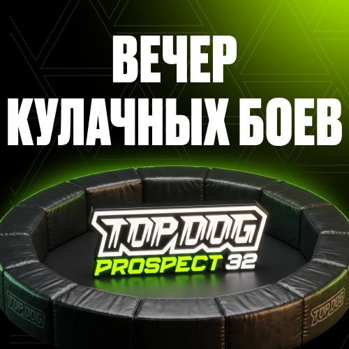 превью
