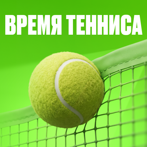 превью