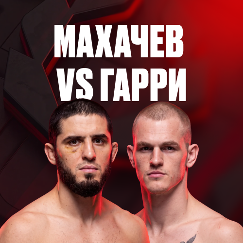 превью